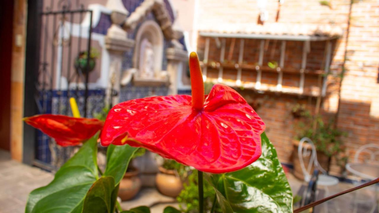 Mansion Mijashe Wellness & Travel House Hotel Морелия Екстериор снимка